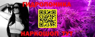 гидропоника Гусь-Хрустальный
