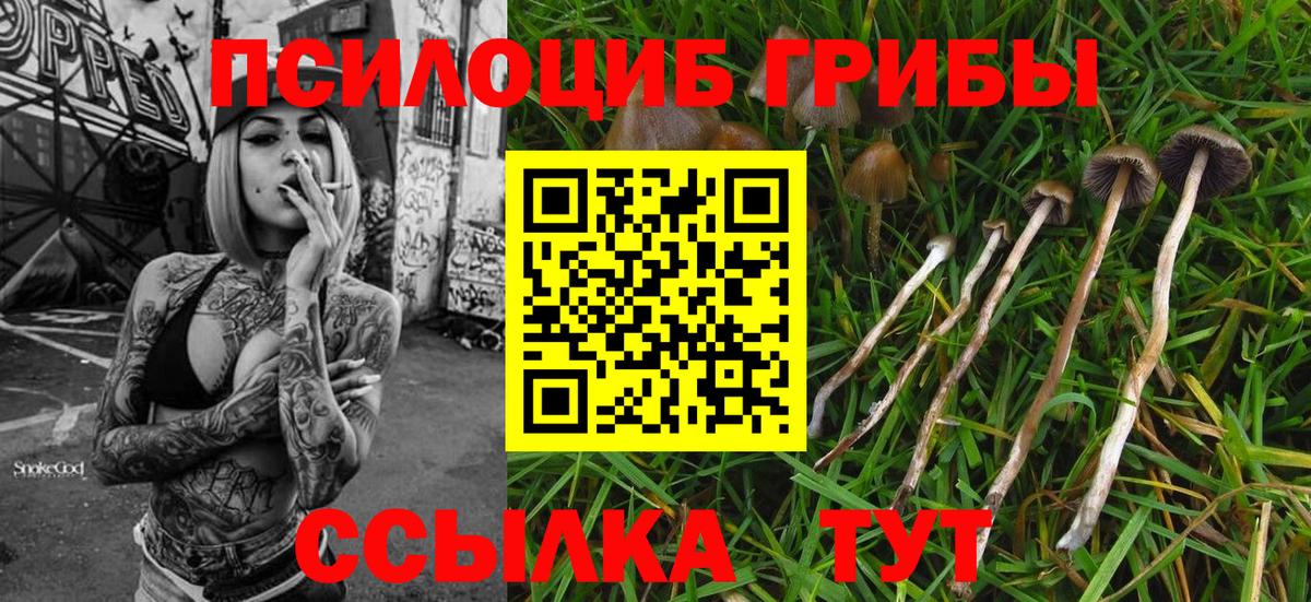 Галлюциногенные грибы мицелий  Вход с VPN  Нижнекамск 
