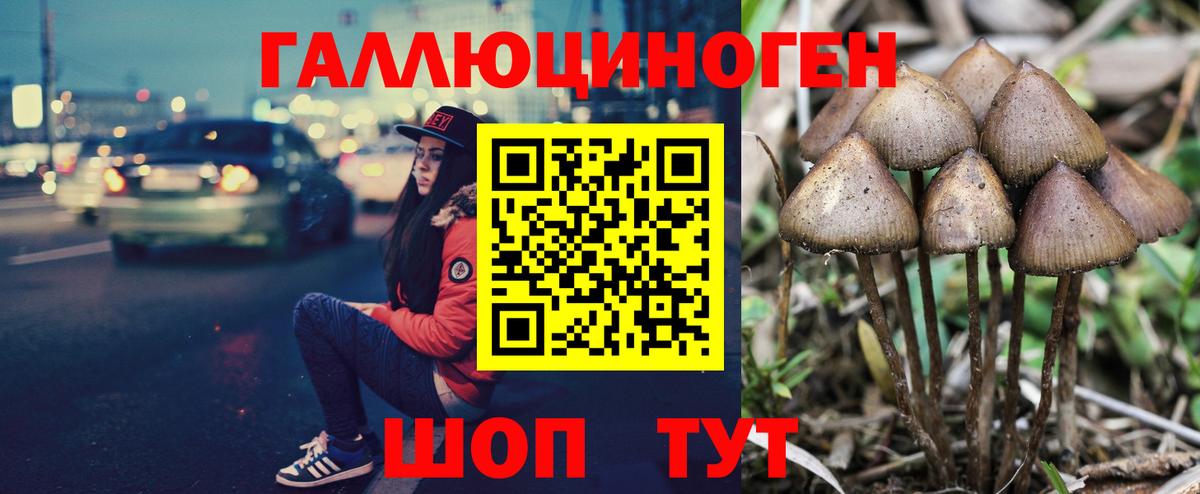 Галлюциногенные грибы MAGIC MUSHROOMS Нижнекамск