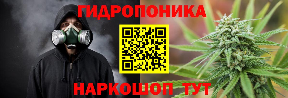 Конопля марихуана Нижнекамск
